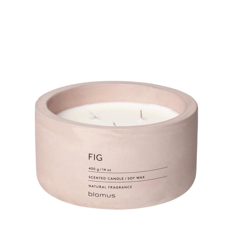 Fraga Scented Candle in Concrete Container – 3 Wicks | Working Wonders