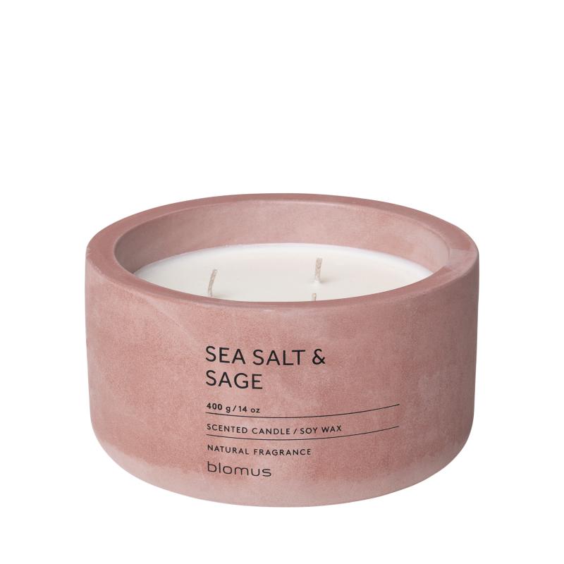 Fraga Scented Candle in Concrete Container – 3 Wicks | Working Wonders