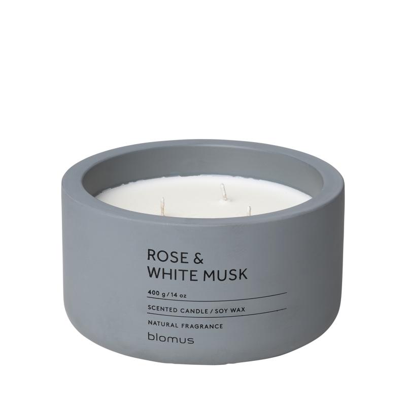 Fraga Scented Candle in Concrete Container – 3 Wicks | Working Wonders