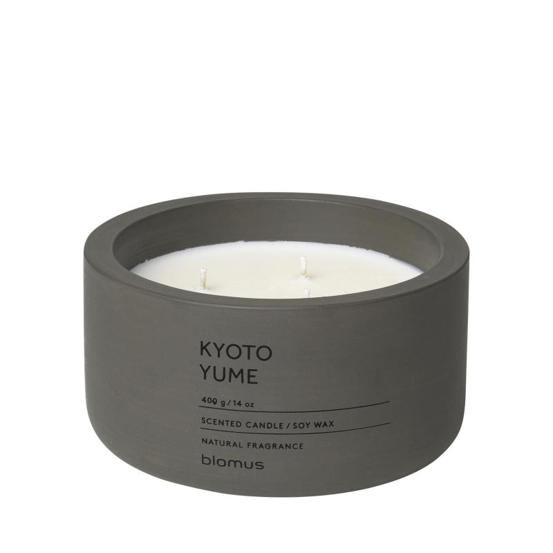 Fraga Scented Candle in Concrete Container – 3 Wicks | Working Wonders