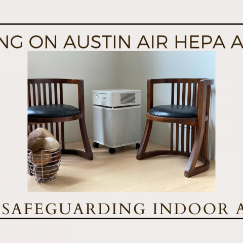 Austin Air HealthMate HEPA Air Purifier